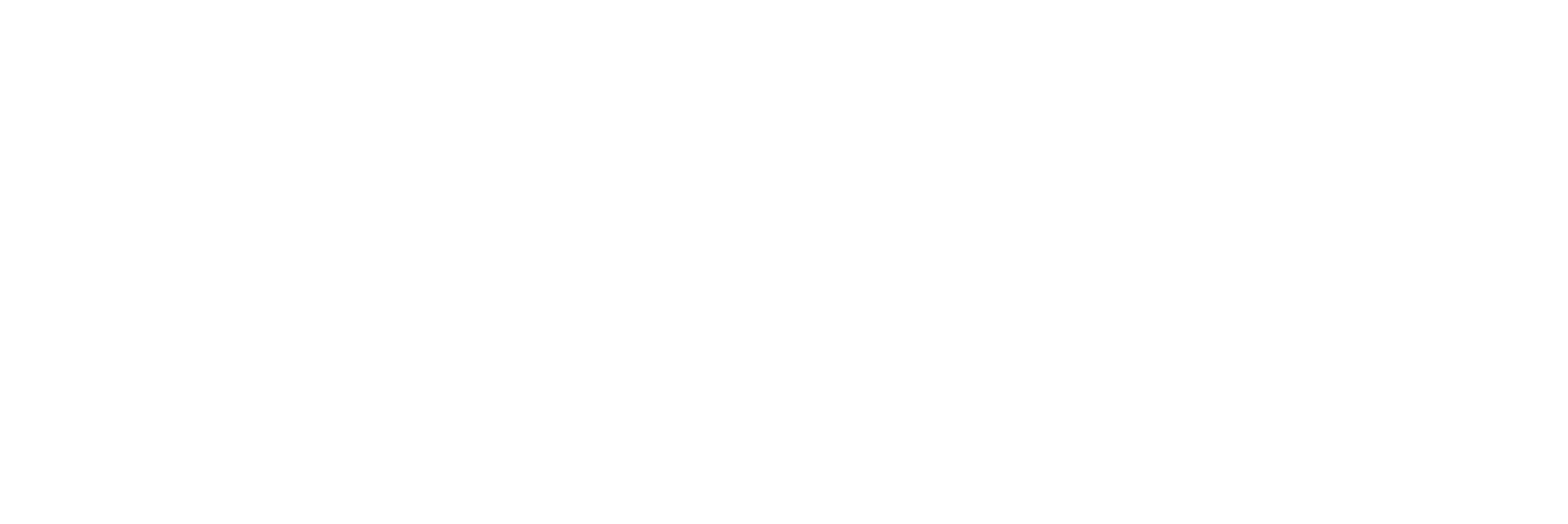 America's Navy Logo